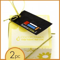 Corporate event favor box: chocolate truffles - handmade, all natural, gluten-free chocolate truffles