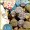 Bulk party chocolate: order Cocopotamus chocolate truffles in bulk for parties and functions.