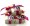 Wedding favor boxes with customized tags