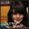 sofia dalia black, chocolate, truffles, gluten free chocolate, fudge